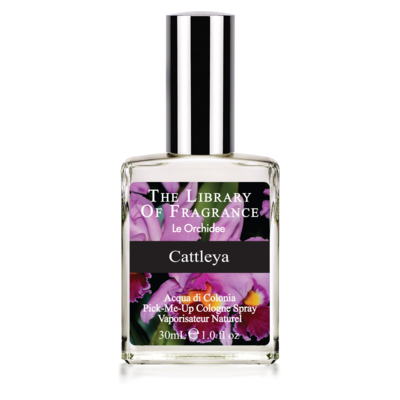 Cattleya-Orchid-30mL-Italy.png